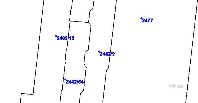 Parcela st. 2442/9 v KÚ Břevnov, Katastrální mapa