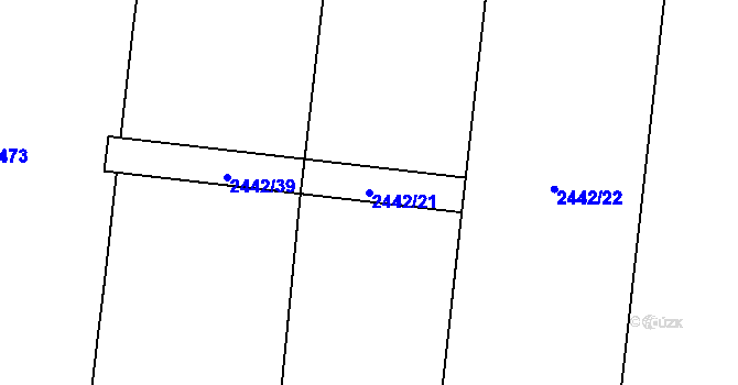 Parcela st. 2442/21 v KÚ Břevnov, Katastrální mapa
