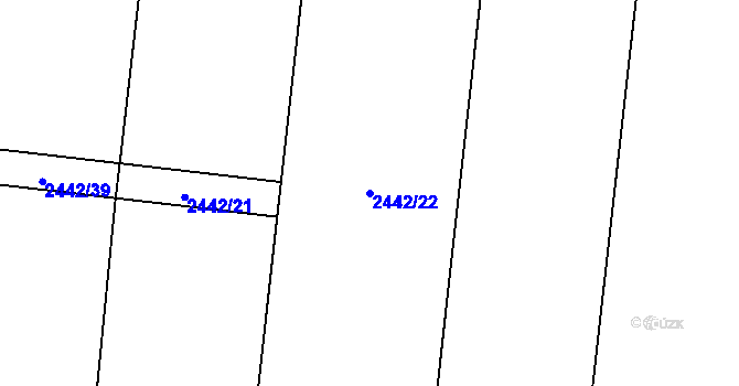 Parcela st. 2442/22 v KÚ Břevnov, Katastrální mapa