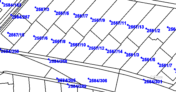 Parcela st. 2567/12 v KÚ Břevnov, Katastrální mapa