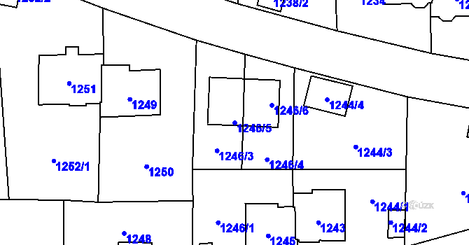 Parcela st. 1246/5 v KÚ Břevnov, Katastrální mapa