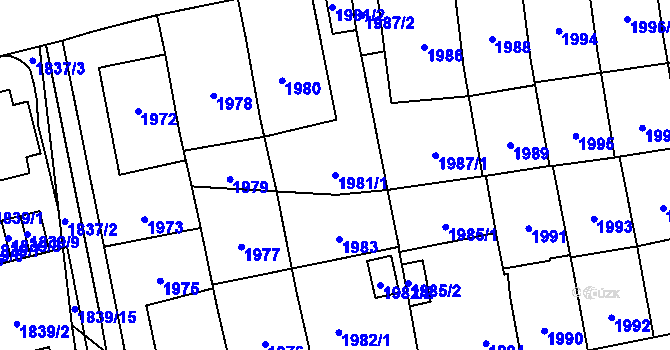 Parcela st. 1981/1 v KÚ Břevnov, Katastrální mapa