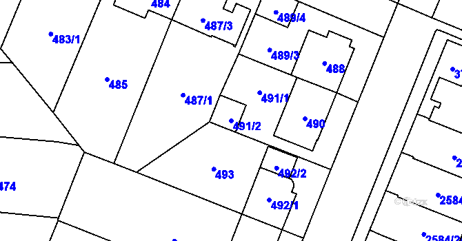 Parcela st. 491/2 v KÚ Ruzyně, Katastrální mapa
