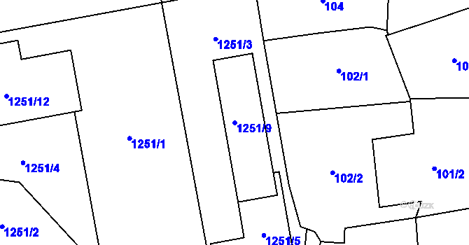 Parcela st. 1251/9 v KÚ Ruzyně, Katastrální mapa