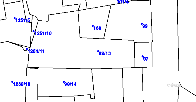 Parcela st. 98/13 v KÚ Ruzyně, Katastrální mapa