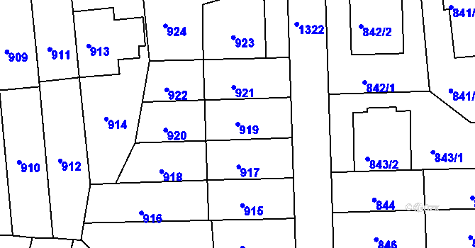 Parcela st. 919 v KÚ Liboc, Katastrální mapa