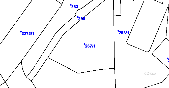 Parcela st. 267/1 v KÚ Holešovice, Katastrální mapa