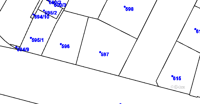 Parcela st. 597 v KÚ Holešovice, Katastrální mapa