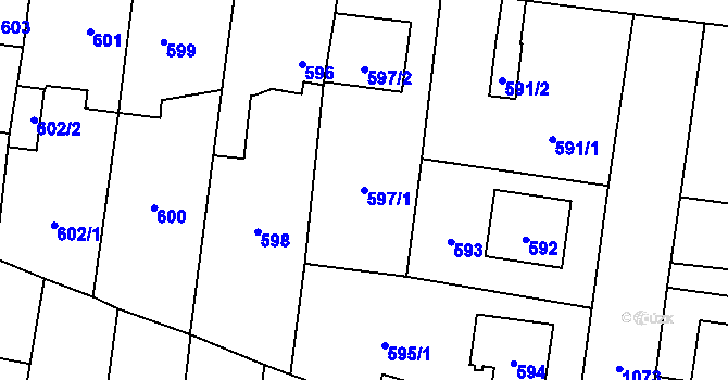 Parcela st. 597/1 v KÚ Čimice, Katastrální mapa