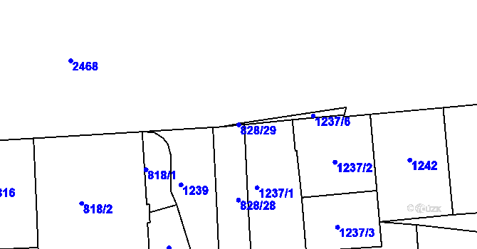Parcela st. 828/29 v KÚ Vršovice, Katastrální mapa