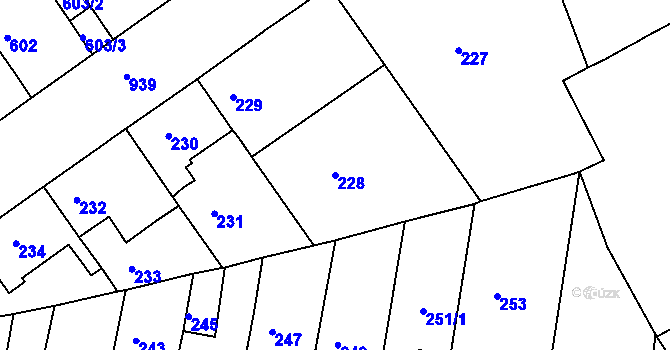 Parcela st. 228 v KÚ Malešice, Katastrální mapa