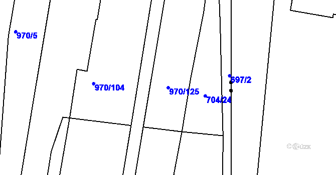 Parcela st. 970/125 v KÚ Malešice, Katastrální mapa