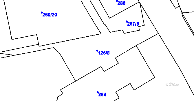 Parcela st. 125/8 v KÚ Dolní Měcholupy, Katastrální mapa
