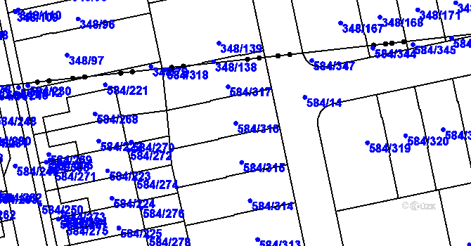 Parcela st. 584/316 v KÚ Dolní Měcholupy, Katastrální mapa