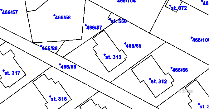 Parcela st. 313 v KÚ Prachovice, Katastrální mapa