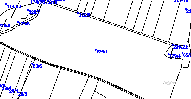 Parcela st. 229/1 v KÚ Prokopov, Katastrální mapa