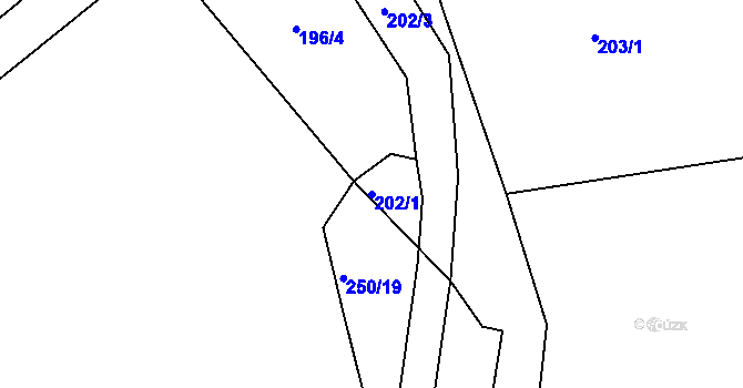 Parcela st. 202/1 v KÚ Javorník u Českého Dubu, Katastrální mapa