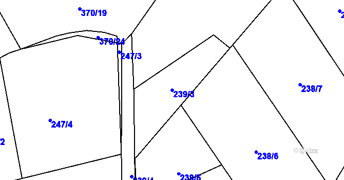 Parcela st. 239/3 v KÚ Luhy u Prosenické Lhoty, Katastrální mapa