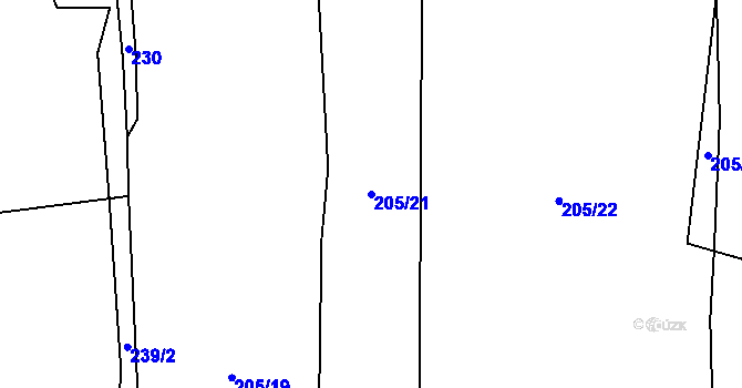 Parcela st. 205/21 v KÚ Čtyři Dvory, Katastrální mapa