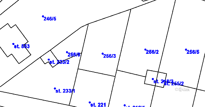 Parcela st. 256/3 v KÚ Protivanov, Katastrální mapa