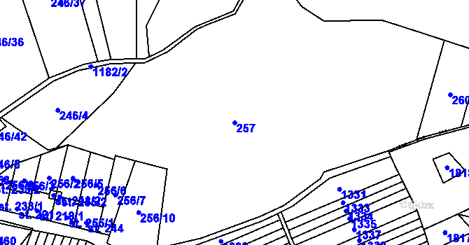 Parcela st. 257 v KÚ Protivanov, Katastrální mapa