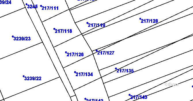 Parcela st. 217/127 v KÚ Prušánky, Katastrální mapa