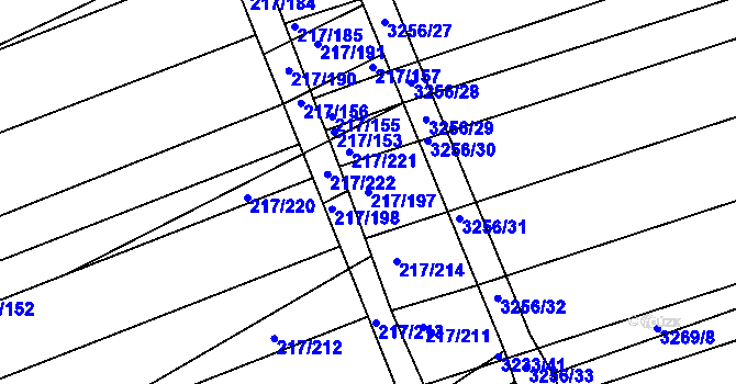 Parcela st. 217/197 v KÚ Prušánky, Katastrální mapa