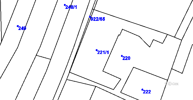 Parcela st. 221/1 v KÚ Pržno, Katastrální mapa