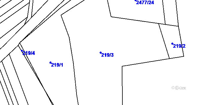 Parcela st. 219/3 v KÚ Předín, Katastrální mapa