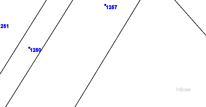 Parcela st. 248/20 v KÚ Přepychy, Katastrální mapa