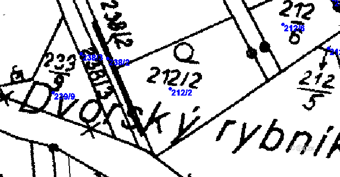 Parcela st. 212/2 v KÚ Přepychy u Opočna, Katastrální mapa