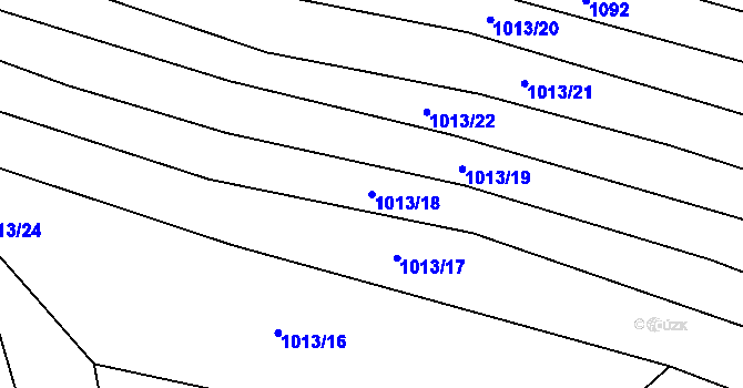 Parcela st. 1013/18 v KÚ Držkrajov, Katastrální mapa