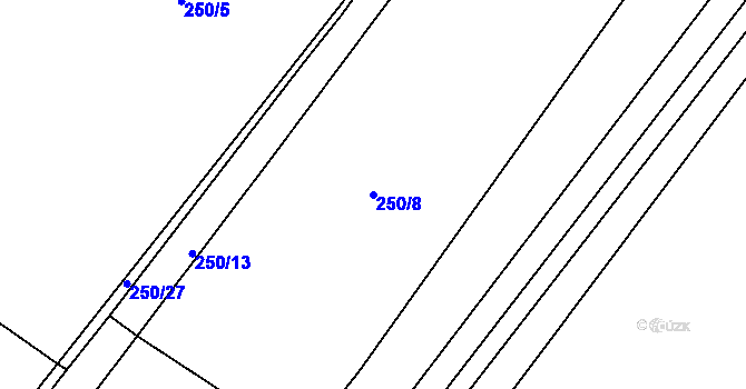 Parcela st. 250/8 v KÚ Příchovice u Přeštic, Katastrální mapa