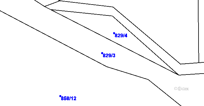 Parcela st. 829/3 v KÚ Příkosice, Katastrální mapa