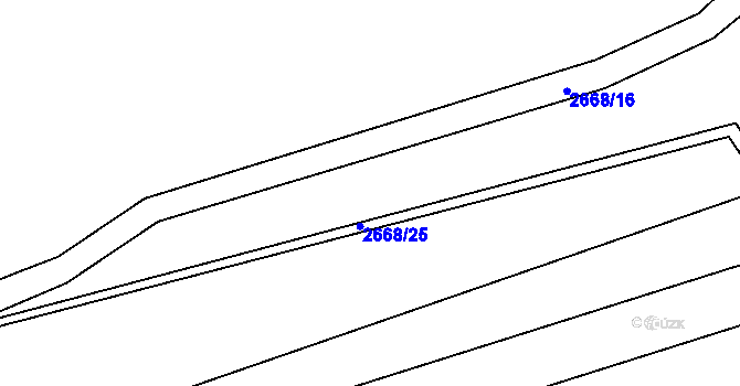 Parcela st. 2668/19 v KÚ Nová Ves pod Přimdou, Katastrální mapa
