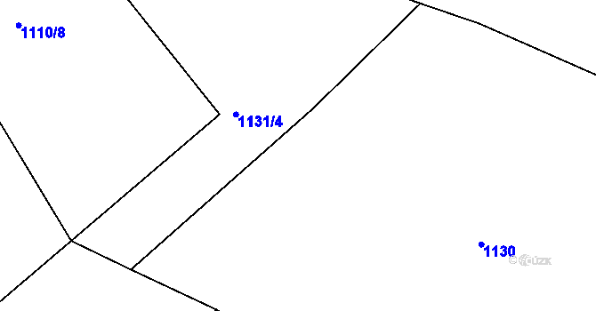 Parcela st. 1131/11 v KÚ Srnín, Katastrální mapa
