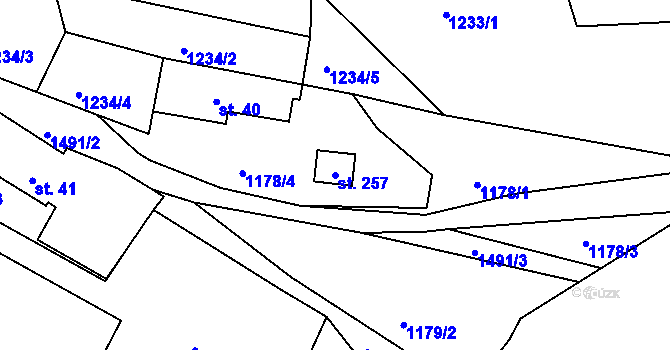 Parcela st. 257 v KÚ Srnín, Katastrální mapa