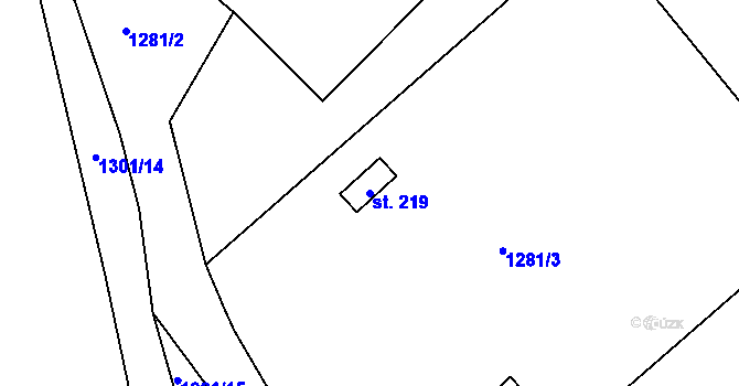 Parcela st. 219 v KÚ Srnín, Katastrální mapa