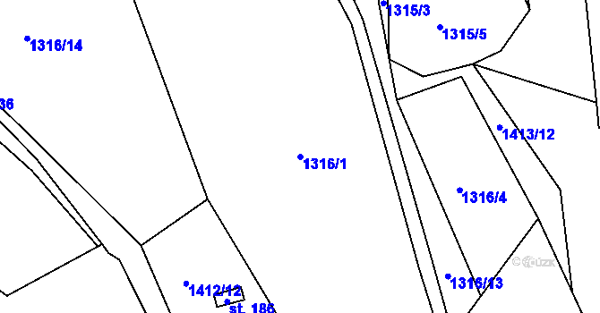 Parcela st. 1316/1 v KÚ Srnín, Katastrální mapa