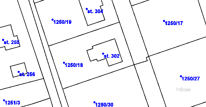 Parcela st. 302 v KÚ Srnín, Katastrální mapa
