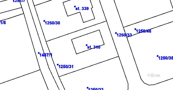Parcela st. 310 v KÚ Srnín, Katastrální mapa