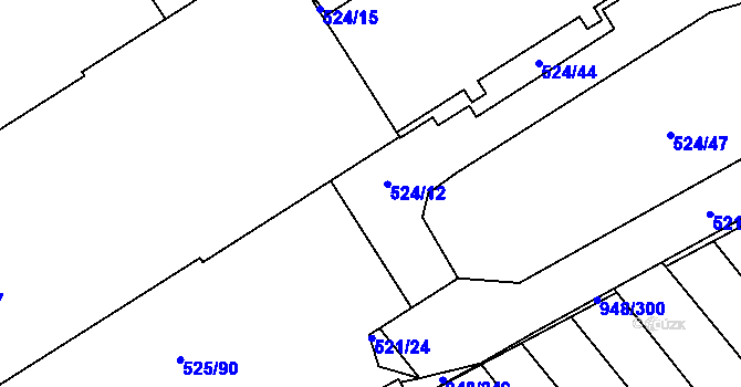 Parcela st. 524/11 v KÚ Přísnotice, Katastrální mapa