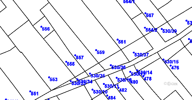 Parcela st. 559 v KÚ Přísnotice, Katastrální mapa