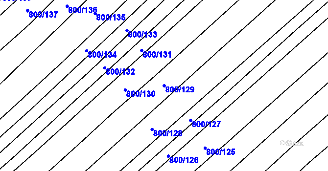 Parcela st. 800/129 v KÚ Přísnotice, Katastrální mapa