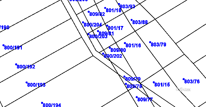 Parcela st. 800/202 v KÚ Přísnotice, Katastrální mapa