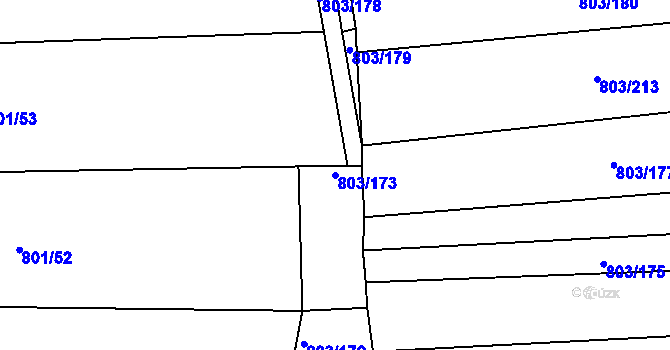 Parcela st. 803/173 v KÚ Přísnotice, Katastrální mapa