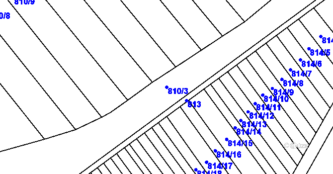 Parcela st. 810/3 v KÚ Přísnotice, Katastrální mapa