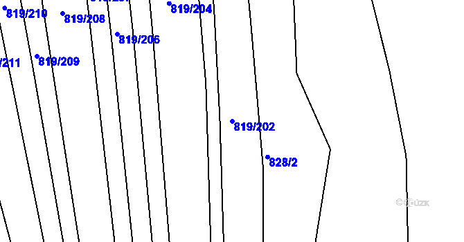 Parcela st. 819/202 v KÚ Přísnotice, Katastrální mapa