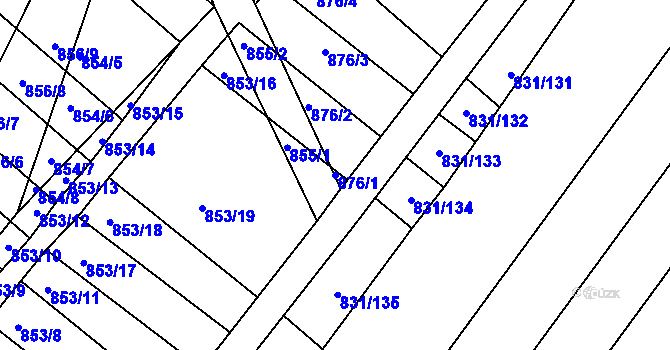 Parcela st. 876/1 v KÚ Přísnotice, Katastrální mapa