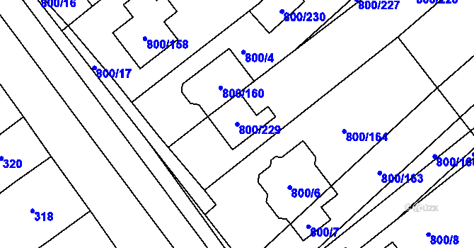 Parcela st. 800/229 v KÚ Přísnotice, Katastrální mapa